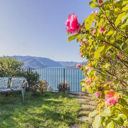 Palma Romantic Dream Apartament